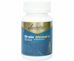 Brain Memory